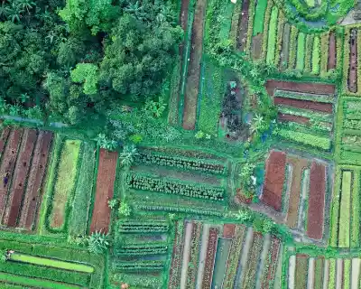 Corporate & Residential Rental